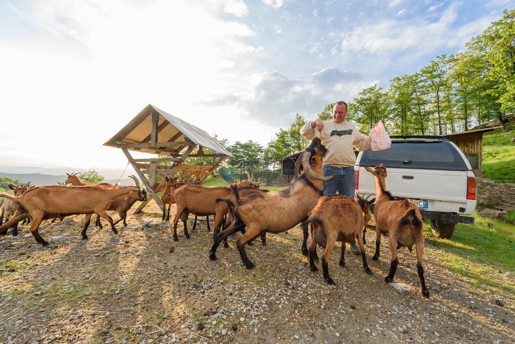 Agriturismo Casapasserini Londa Luaran gambar