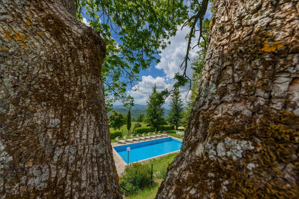 Agriturismo Casapasserini Londa Luaran gambar
